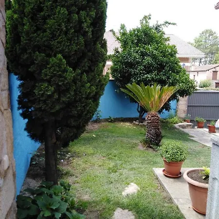Holiday home Las Palmeras *