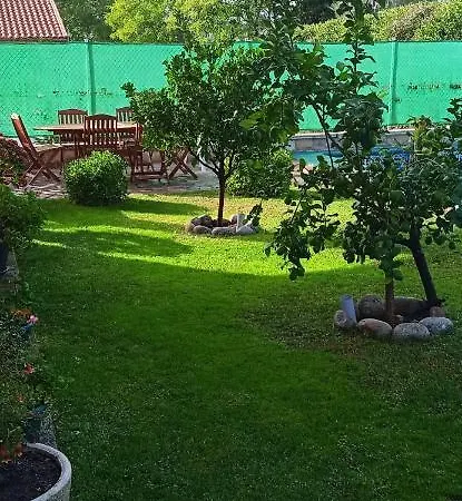Las Palmeras